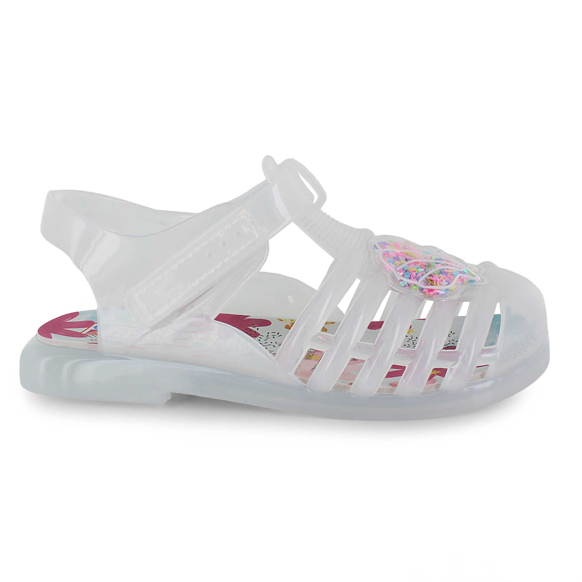 Simple Images Seashell Right Side View