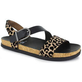  Blowfish Malibu Lance Right Side View