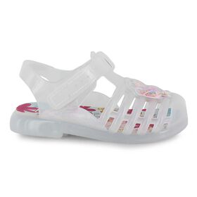  Simple Images Seashell Right Side View