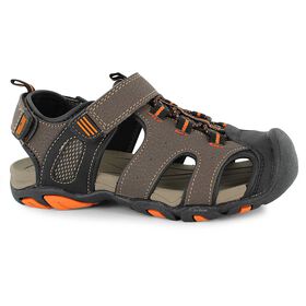  Hammerhead Cover CTOB Right Side View