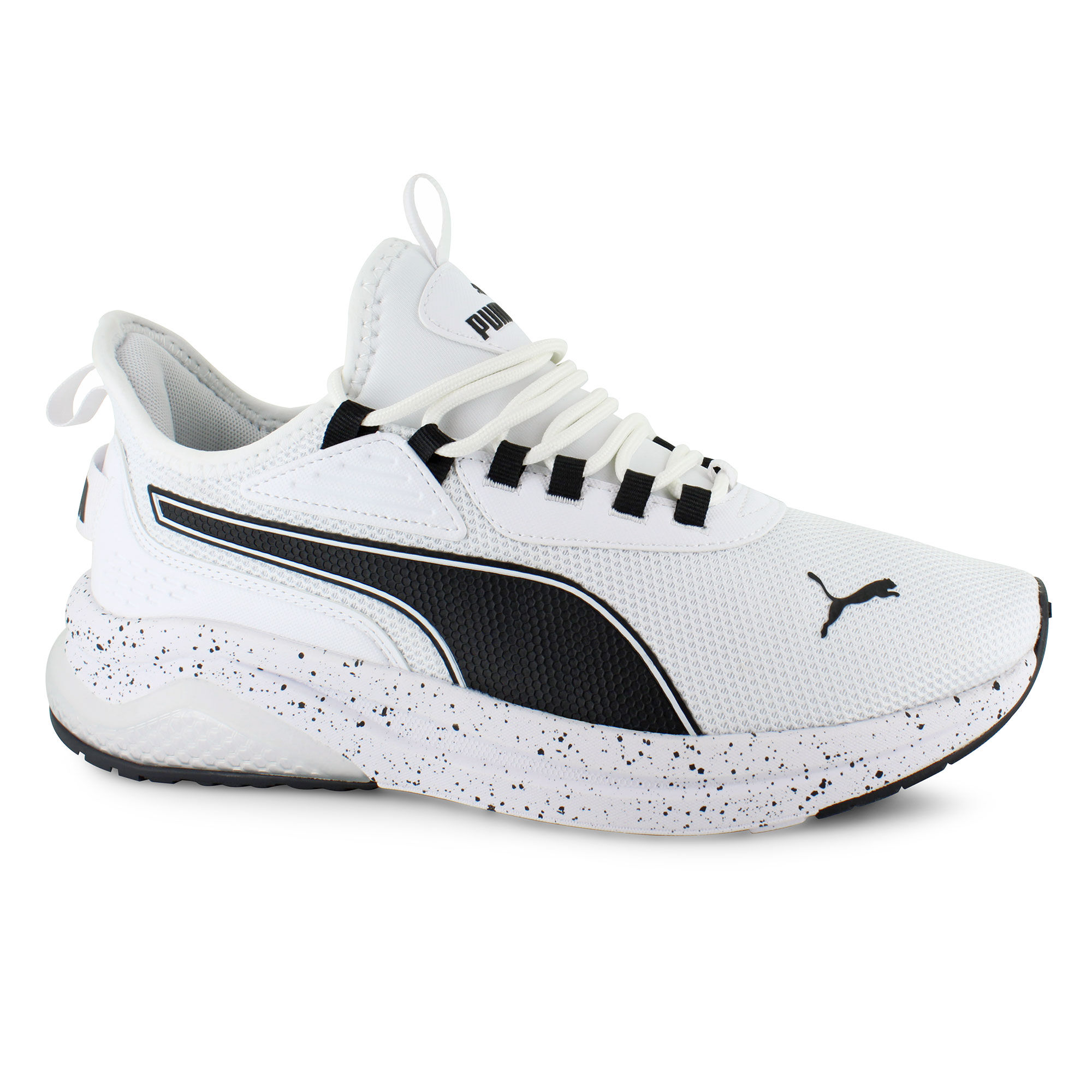 PUMA Amplifier Right Side View