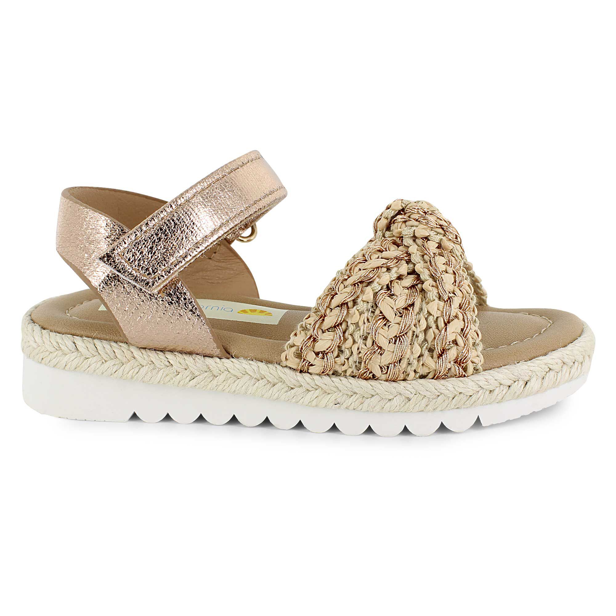 C & C california Ava Right Side View