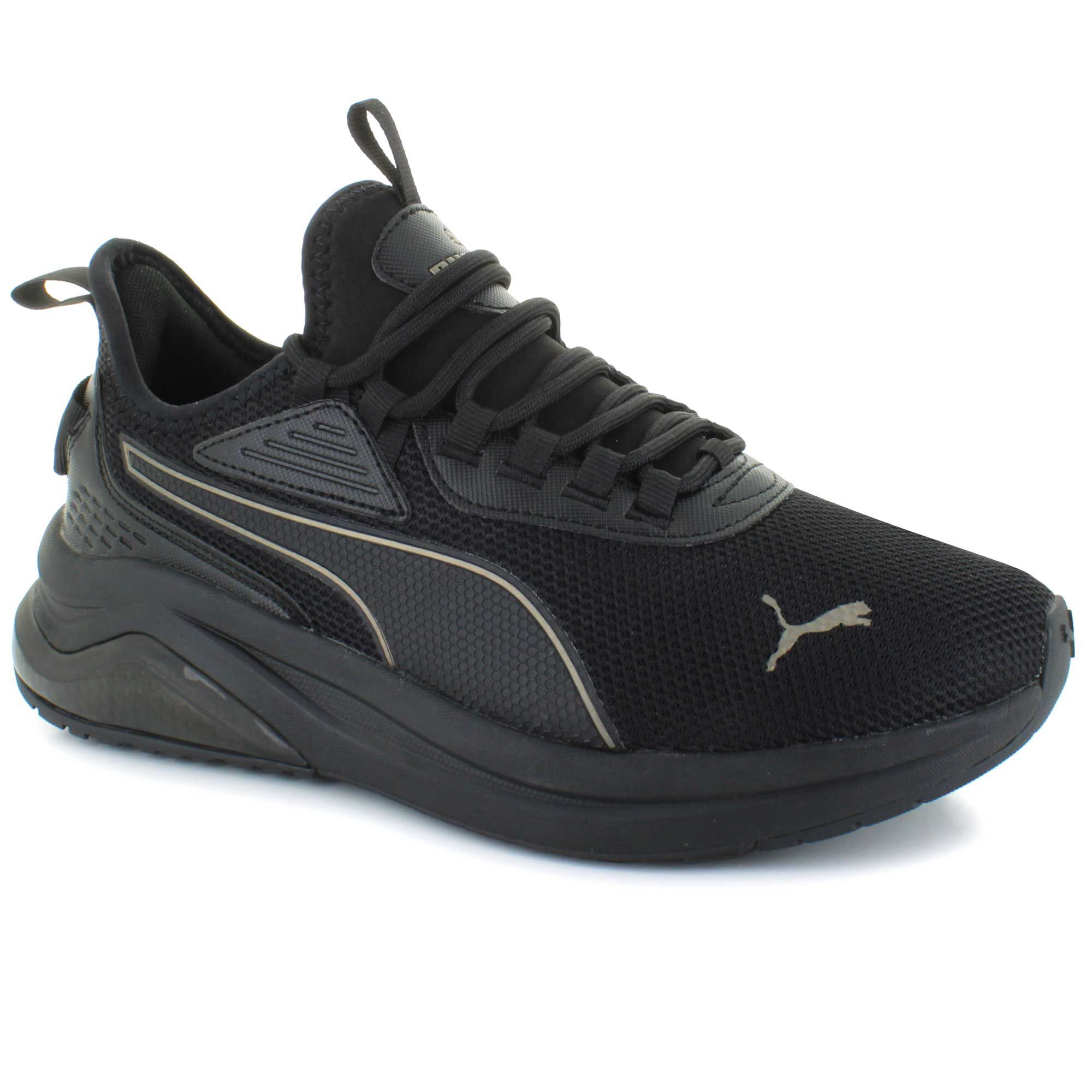 PUMA Amplifier Right Side View