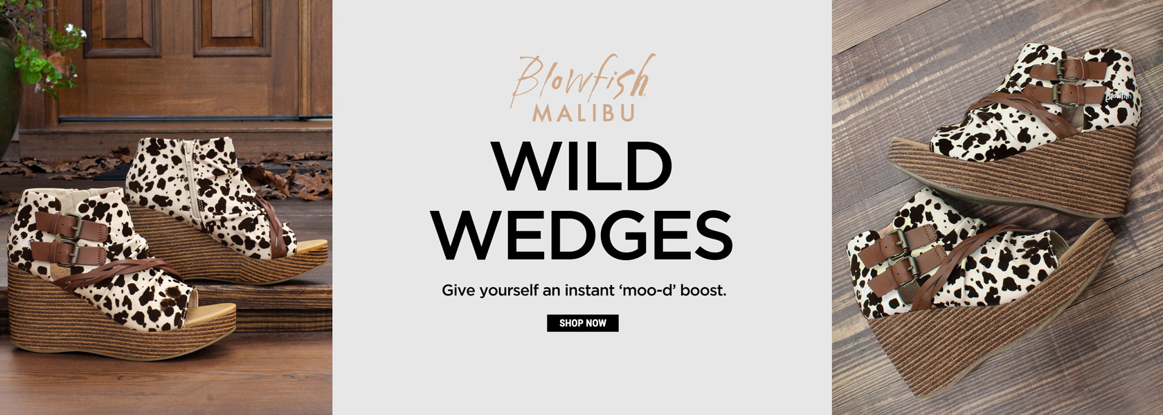 SHOE DEPT. ENCORE Shoes, Handbags & Accessories