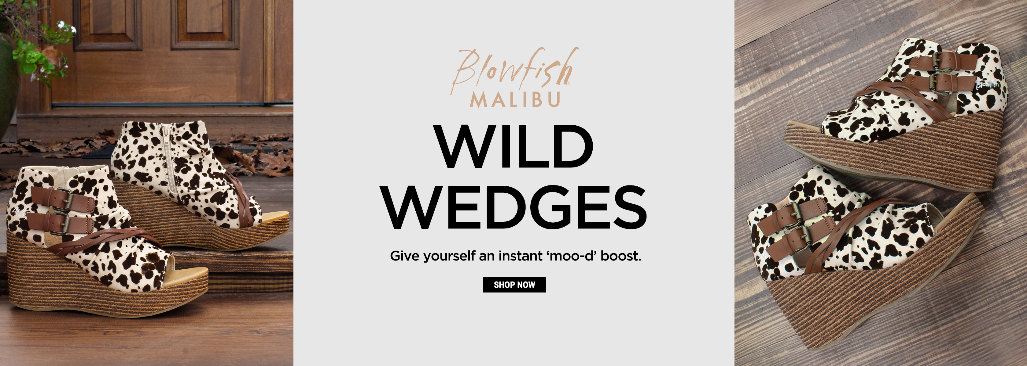 SHOE DEPT. ENCORE Shoes, Handbags & Accessories