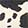  Mark Kaplan Cow-Print Tote, Animal-Print/Black/White, swatch
