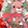 Red Shoes & Accessories Rudolph The Red-Nosed Reindeer Hair Accessory Set, Red, swatch