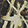  Crocs Real Tree Classic, Brown Camo, swatch