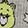 Characters & Collaborations: Shoes & Accessories Women's Care Bears Mid-Crew 2-Pair Pack, Beige/Ivory/Multi-Color, swatch