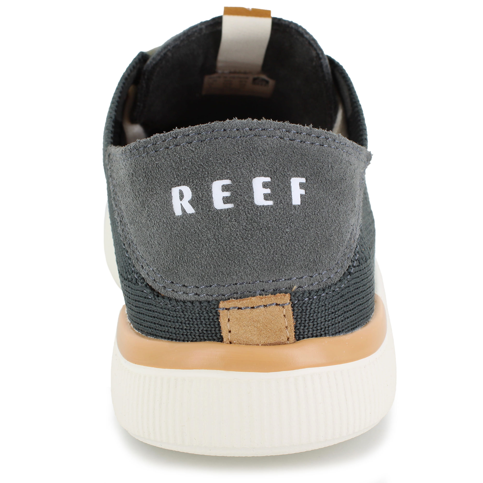 Reef Neptune
