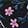  Peanuts Snoopy Flowers, Black/Multi-Color, swatch