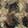 Animal-Print Shoes Cloud Flex Lovely Leopard-Print Slipper, Leopard/Red, swatch
