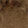  Pierre Dumas Sharen Fur, Brown, swatch