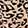  Women's Ellen Tracy Leopard-Print Hat And Gloves, Leopard/Tan/Black, swatch