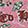  Ed Hardy Cleo Nova Backpack, Pink, swatch