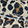  Blowfish Malibu Play, Leopard, swatch
