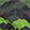 Green Shoes & Accessories Northside Frosty, Black/Green, swatch