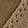  US Sports I29173IT, Taupe, swatch