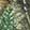  HEYDUDE Wendy Realtree Edge Colors, Brown Camo, swatch