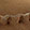  LAMO Lace-Up, Tan, swatch