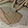  Javi Cited, Beige, swatch