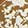 New Arrivals HEYDUDE Delray Slide Animal Shimmer, Tan/Multi-Color, swatch