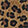 New Arrivals Studio Infinite Jane 2, Leopard, swatch