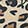  Capelli FG-10748, Leopard/Sand, swatch