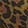 Dress Shoes Adrienne Vittadini Sampson, Leopard, swatch