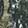  HEYDUDE Wendy Mossy Oak Country DNA, Green Camo, swatch
