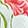 Slides Palms Floral Massage Clog, White/Multi-Color, swatch