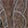 Western Jellypop Baley Butterfly, Brown, swatch