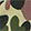  Under Armour Hustle Sport Camouflage Backpack 26L, Green Camo, swatch