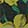  Ninety Union Floral Reeba Bag, Green/Yellow, swatch