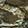  HEYDUDE Wally Youth Realtree Edge, Green Camo, swatch