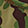  HEYDUDE Wally Ripstop, Green Camo, swatch