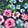 Crossbody Lily Bloom Sussex Garden Jade Mini Crossbody, Multi-Color, swatch