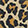  Converse Chuck Taylor All Star Hi, Leopard, swatch