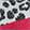 Socks Women's bebe Leopard-Print No-Show 8-Pair Pack, Black/White/Pink, swatch