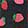  Converse Chuck Taylor All Star Hi Strawberry Print, Black/Red/Pink, swatch
