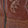  Ariat Sport Rodeo, Tan, swatch