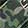  Skechers S Lights - Hypno-Splash - Sun Breaks, Green Camo/Black, swatch