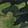 Adult Camouflage Face Mask 5-Pack, Green Camo, swatch