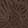  Maui Island Hannah, Brown, swatch