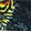  Ed Hardy Fox Low, Black, swatch
