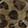  Leopard-Print Shoe Accessories, Leopard, swatch