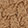 Skechers Cozy Campfire - Frosty, Tan, swatch