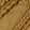 Athleisure Blowfish Malibu Minnow, Sand, swatch