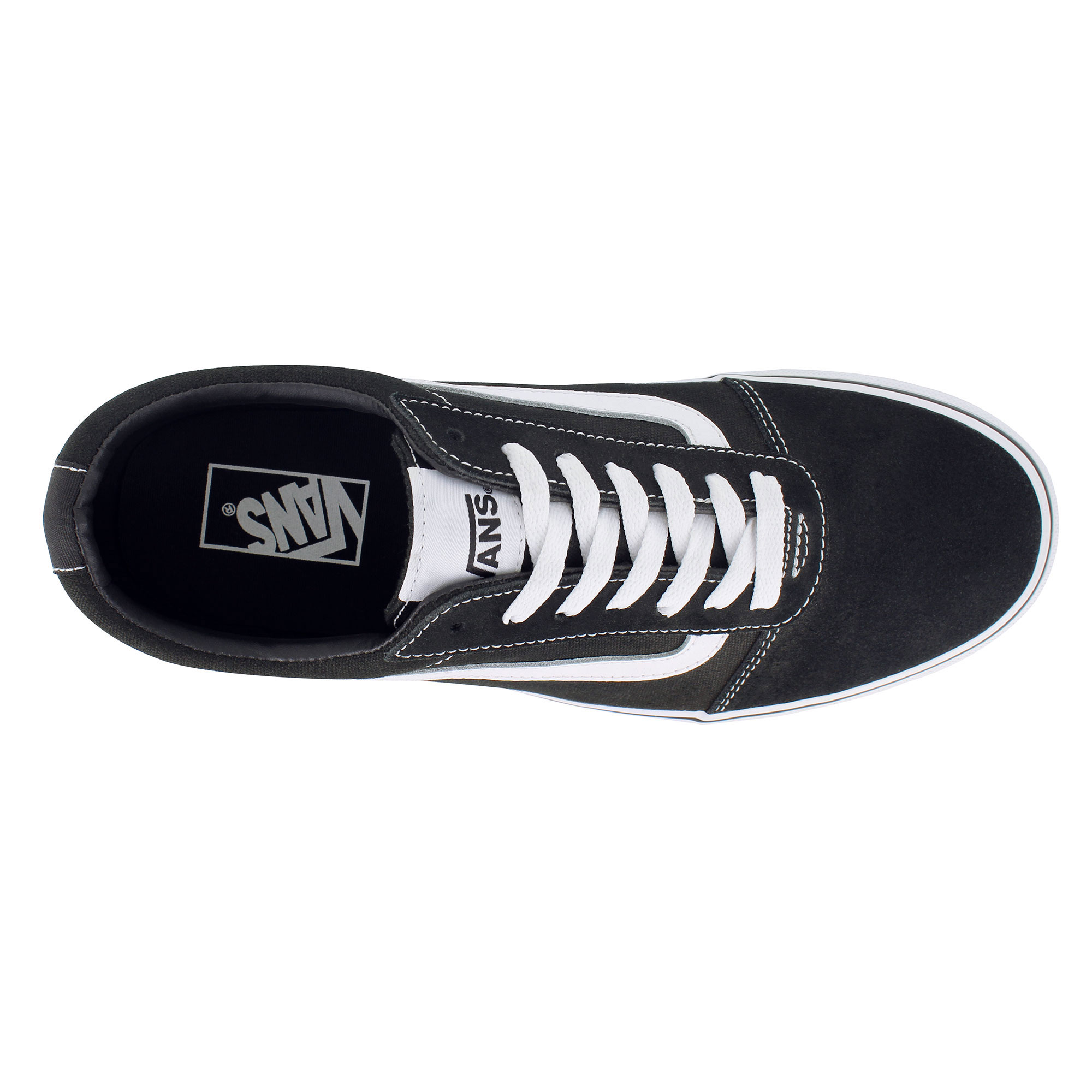 Vans Ward Low