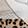 White/Black/Leopard